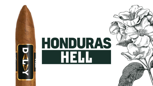 Dalay Honduras Hell Torpedo 6 x 52 Einzeln