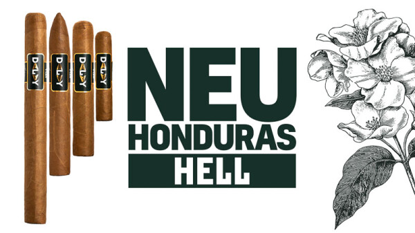 Dalay Honduras Hell Presidente 8,5 x 52 Einzeln