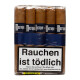 Mustique Blue Robusto